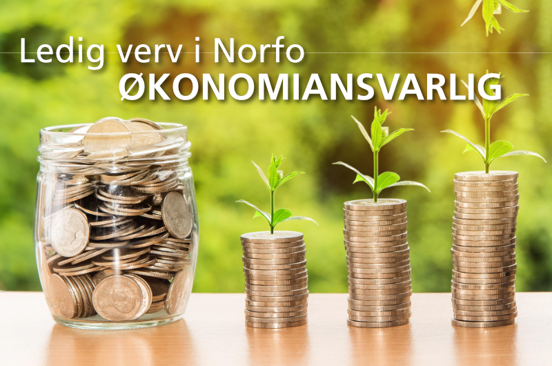 LEDIG VERV SOM ØKONOMIANSVARLIG